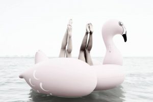 24991031_1678183068870689_955472078942472751_n