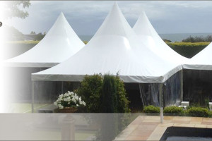 1_Peninsula_Party_Hire_Like