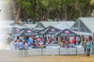 3_Peninsula_Party_Hire_Like