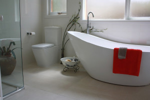 Blissful_Bathrooms_DTR_1