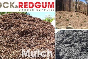 Copy of !cid_52A9370C-36A5-41B6-AEBC-3EE82366D891