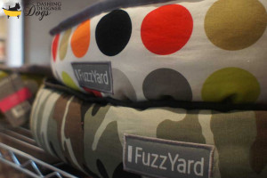 Dashing_Dogs_DTR_5