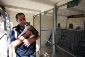 GC_Tweed_Pet_Resort_DTR_2