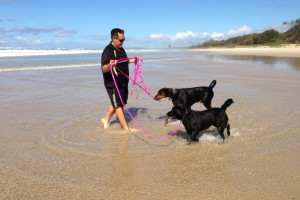 GC_Tweed_Pet_Resort_DTR_4