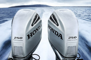 Huge Range of Motors