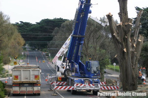 Patterson_Mobile_Cranes_DTR_3a