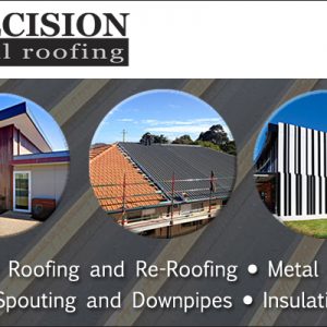 Precision_DTR_advert