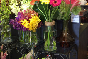 Secret_Garden_DTR_12