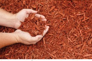 Westernport Sand and Soil 01