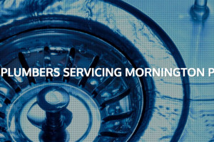 !cid_39DB7F46-0202-4153-990A-20B6EA2B7EF4