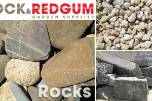 !cid_C6557A38-7FC1-4072-9E20-D79159FBA14F