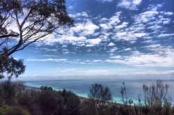 scenic_tours_mornington_peninsula