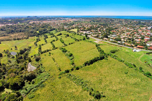 North_Estate_Agents_DTR_3