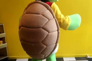 Teenage Mutant Ninja Turtles