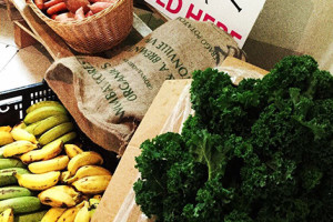 Laneway_Health_DTR_1