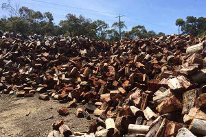 Woodys_Firewood_DTR_3