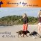 Harmony4Dogs_DTR_Advert