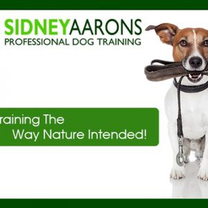 Sidney_Aaron_DTR_Adverta