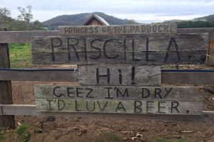 12472756_10154286669237448_7402794257393418243_n