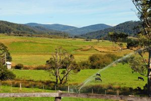 1965548_281519552006030_1205674928_o