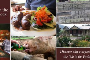 FB_Pub_Paddock_1200x628_1