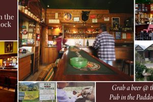 FB_Pub_Paddock_1200x628_10