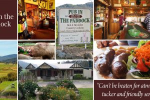 FB_Pub_Paddock_1200x628_4