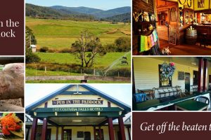 FB_Pub_Paddock_1200x628_6