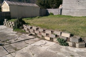 Green_and_Tidy_DTR_3