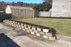 Green_and_Tidy_DTR_4