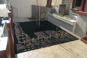 Green_and_Tidy_DTR_5