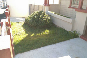 Green_and_Tidy_DTR_6