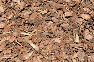Pine-Bark-Chips-scaled