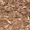 Pine-Bark-Chips-scaled