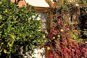 Racecourse_Inn_DTR_2