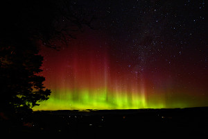 Professional Photography