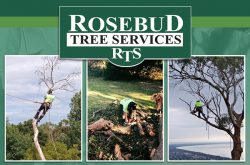 rosebud_tree_services