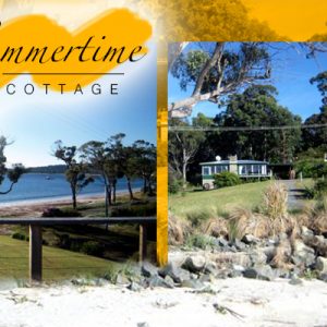 Sumertime_DTR_Advert