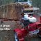 4490 log lifter in action