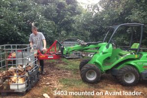 Dave McLean Avant 2-16