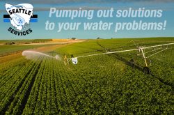 Seattle_Services_Merseylea