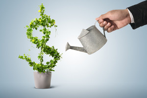 Growing Your Business