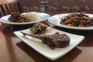 Casual Fine Dining Restaurant