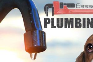 277754974_500191121581114_6113470883327909596_n