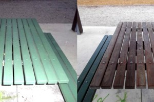 Sojifu Paint Removal