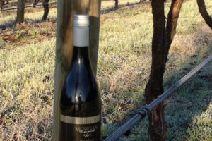 Superb Views of The Yarra Valley