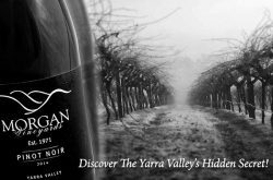 Morgan_Vineyards_Seville