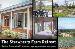 The_Strawberry_Farm_Retreat_Yarra_Valley