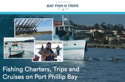 bay_fish_n_trips_mornington
