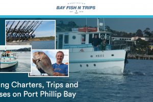 fb_bay_fishntrips_1200x628_1